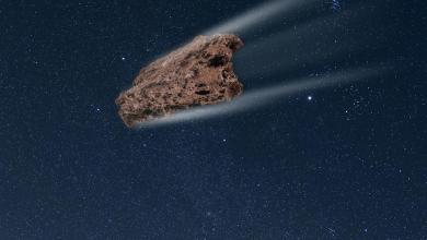 A Mysterious Meteorite Fell to Earth From a Planet That Doesn’t Exist A Mysterious Meteorite Fell to Earth From a Planet That Doesn’t Exist