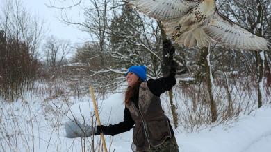 Midwest winters are changing. So is the ancient sport of falconry Midwest winters are changing. So is the ancient sport of falconry