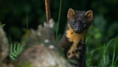 ‘There are so many questions’ ‘There are so many questions’