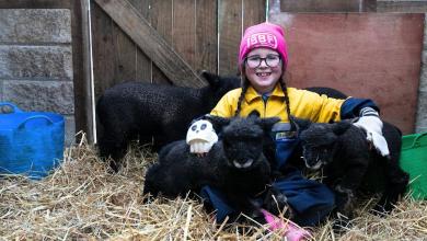 Britain’s youngest shepherdess ‘over the moon’ at the birth of five lambs Britain’s youngest shepherdess ‘over the moon’ at the birth of five lambs