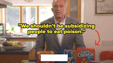 Trump’s Team Is Reportedly Interested In Banning Junk Food Purchases For 41 Million SNAP Users, And People Are Calling It “Condescending” And “Impractical” Trump’s Team Is Reportedly Interested In Banning Junk Food Purchases For 41 Million SNAP Users, And People Are Calling It “Condescending” And “Impractical”