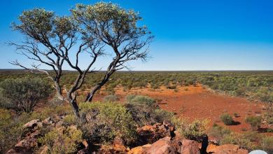 ‘We were a bit worried’ ‘We were a bit worried’