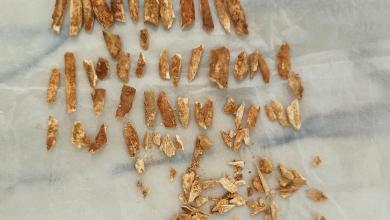 Scientists date remains of an ancient child that resembles both humans and Neanderthals Scientists date remains of an ancient child that resembles both humans and Neanderthals