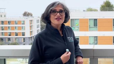 JD Vance’s Mother-In-Law Led the DEI Charge He Reviles JD Vance’s Mother-In-Law Led the DEI Charge He Reviles