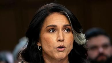 Gabbard says it was ‘mistake’ for reporter to be added to Signal group chat Gabbard says it was ‘mistake’ for reporter to be added to Signal group chat