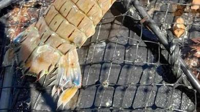 ‘It’s not something to celebrate’ ‘It’s not something to celebrate’