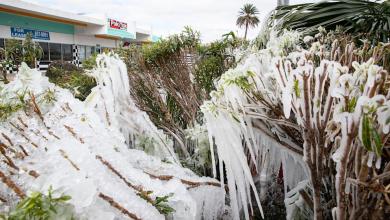 Here’s how low temps will be in Corpus Christi area, how to prepare Here’s how low temps will be in Corpus Christi area, how to prepare