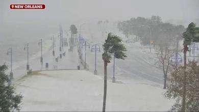 Palm trees sway amid near-blizzard conditions in New Orleans Palm trees sway amid near-blizzard conditions in New Orleans