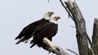 ‘None of us are ready for this’ ‘None of us are ready for this’