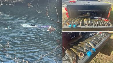 Suspect caught snorkeling & using speargun to fish in Lady Bird Lake Suspect caught snorkeling & using speargun to fish in Lady Bird Lake