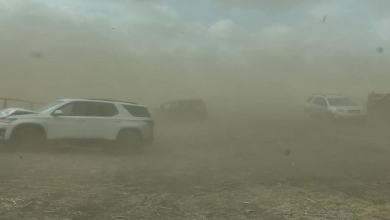 Crashes, trees down, power outages due to high wind Crashes, trees down, power outages due to high wind