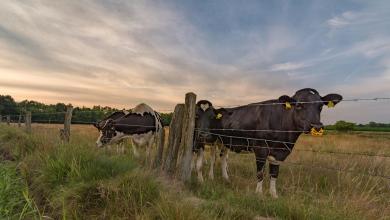 ‘We will continue to take all necessary steps’ ‘We will continue to take all necessary steps’