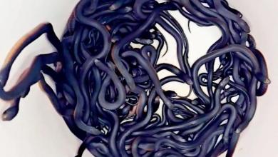 100 slithery, venomous snakes found in homeowner’s backyard: ‘I’d be moving out!’ 100 slithery, venomous snakes found in homeowner’s backyard: ‘I’d be moving out!’