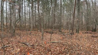 Black graves are being moved to make way for an industrial park, drawing a mix of emotions Black graves are being moved to make way for an industrial park, drawing a mix of emotions
