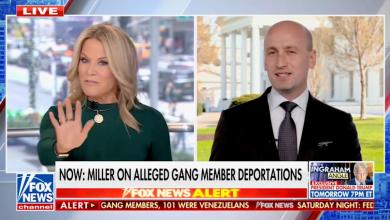Stephen Miller Loses His Cool on Fox News: ‘Absolute Moron’ Stephen Miller Loses His Cool on Fox News: ‘Absolute Moron’