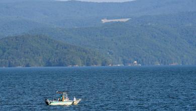 This Upstate area is one of SC’s most rattlesnake infested, says World Atlas: See full list This Upstate area is one of SC’s most rattlesnake infested, says World Atlas: See full list