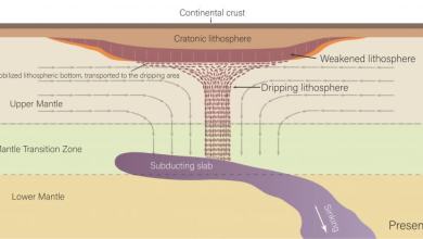 A lost chunk of ancient continent is sucking bits of North America into Earth’s mantle A lost chunk of ancient continent is sucking bits of North America into Earth’s mantle