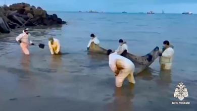 Russia forms an emergency task force as Kerch Strait oil spill continues to spread Russia forms an emergency task force as Kerch Strait oil spill continues to spread