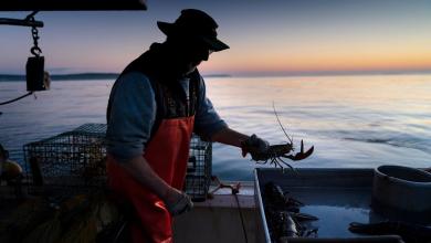 Lobster fishermen can sue environmental group for defamation, judge says Lobster fishermen can sue environmental group for defamation, judge says
