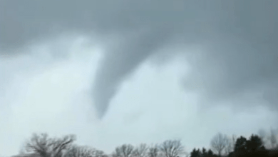Violent tornado causes damage near Lake City, Arkansas Violent tornado causes damage near Lake City, Arkansas