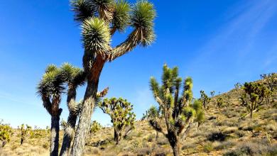 Is this town really the worst place to live in Arizona? Find out why a study says so Is this town really the worst place to live in Arizona? Find out why a study says so