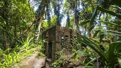 Archaeologists Found a 5,000-Year-Old Fortress That Nature Had Hidden for Centuries Archaeologists Found a 5,000-Year-Old Fortress That Nature Had Hidden for Centuries