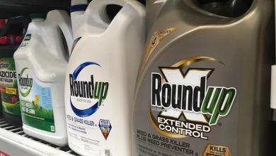Georgia jury orders Monsanto parent to pay nearly .1 billion in Roundup weedkiller lawsuit Georgia jury orders Monsanto parent to pay nearly .1 billion in Roundup weedkiller lawsuit