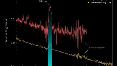 ‘Shocking’ nova explosion of dead star was 100 times brighter than the sun ‘Shocking’ nova explosion of dead star was 100 times brighter than the sun