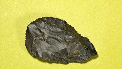 Archaeologists Sifted Through an Ancient Lakebed—And Found 1.5-Million-Year-Old Tools Archaeologists Sifted Through an Ancient Lakebed—And Found 1.5-Million-Year-Old Tools