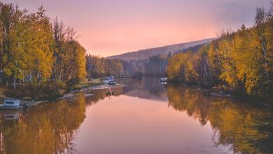 ‘Have to be stained a lot…’ ‘Have to be stained a lot…’