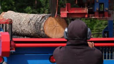 U.S. set to significantly hike softwood lumber duties against Canada U.S. set to significantly hike softwood lumber duties against Canada