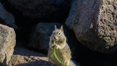 ‘I could barely believe my eyes’ ‘I could barely believe my eyes’