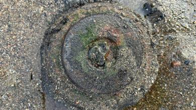 Army bomb squad scrambled to ‘suspect device’ that was a speaker Army bomb squad scrambled to ‘suspect device’ that was a speaker