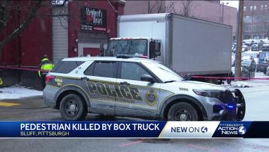 Person struck, killed by truck in Pittsburgh's Bluff neighborhood Person struck, killed by truck in Pittsburgh's Bluff neighborhood