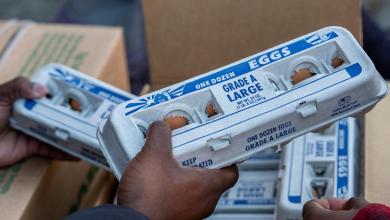 Did Trump really bring down the price of eggs by half? Did Trump really bring down the price of eggs by half?