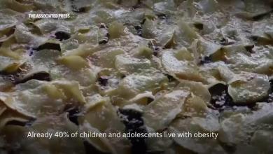 Mexico bans junk food sales in schools in its latest salvo against child obesity Mexico bans junk food sales in schools in its latest salvo against child obesity