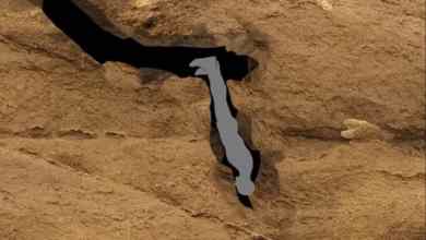 14 People Who Died In The Most Horrifying, Disturbing, And “Please Don’t Let This Happen To Me!” Ways 14 People Who Died In The Most Horrifying, Disturbing, And “Please Don’t Let This Happen To Me!” Ways