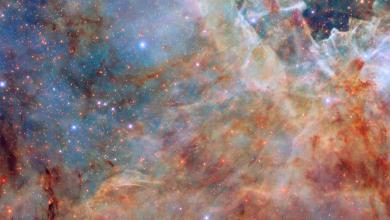 NASA and ESA share a breathtaking Hubble image of the Tarantula Nebula’s outer edge NASA and ESA share a breathtaking Hubble image of the Tarantula Nebula’s outer edge