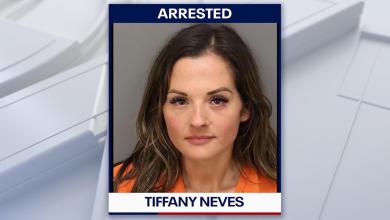 Woman arrested after allegedly driving drunk on St. Pete Beach: PCSO Woman arrested after allegedly driving drunk on St. Pete Beach: PCSO