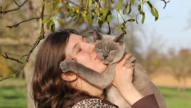 Study Reveals a Simple Trick to Communicate With Your Cat Study Reveals a Simple Trick to Communicate With Your Cat