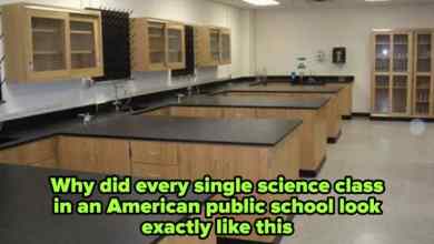53 Shocking Photos Of American Schools That Prove Some States Have It Wayyy Better Than Others 53 Shocking Photos Of American Schools That Prove Some States Have It Wayyy Better Than Others