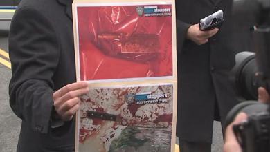 ‘Horrific scene’ as police take down man allegedly attacking 4 young girls in NYC ‘Horrific scene’ as police take down man allegedly attacking 4 young girls in NYC