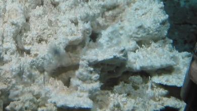 ‘Lost City’ Deep Under The Ocean Is Unlike Anything We’ve Ever Seen Before on Earth ‘Lost City’ Deep Under The Ocean Is Unlike Anything We’ve Ever Seen Before on Earth