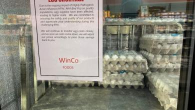 Bird flu found in Georgia commercial poultry plant, a first for nation’s leading producer Bird flu found in Georgia commercial poultry plant, a first for nation’s leading producer