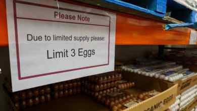 RFK Jr. Just Dropped A Bird Flu Take So Alarming That Scientists Are Like, “Please Don’t” RFK Jr. Just Dropped A Bird Flu Take So Alarming That Scientists Are Like, “Please Don’t”