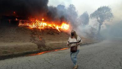 Fire’s massive scale comes into focus in Pacific Palisades Fire’s massive scale comes into focus in Pacific Palisades