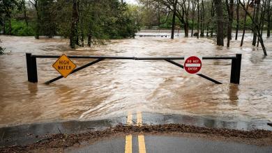 How much has it rained so far in Nashville, Middle Tennessee? How much more rain is expected How much has it rained so far in Nashville, Middle Tennessee? How much more rain is expected