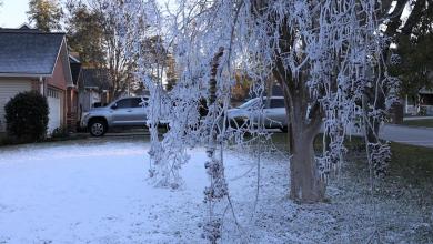 Sand trucks at the ready, Leon County officials prep for possible freak Florida snowstorm Sand trucks at the ready, Leon County officials prep for possible freak Florida snowstorm