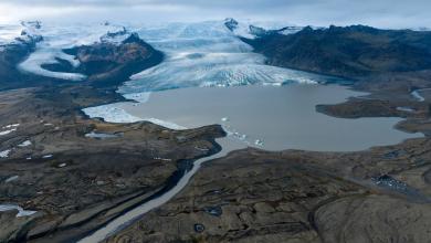 ‘The concentrations we measured were surprisingly high’ ‘The concentrations we measured were surprisingly high’