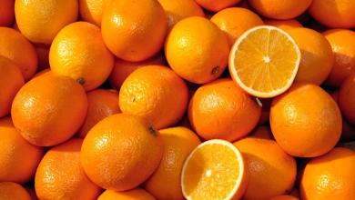 Forget apples â doctors find eating this fruit daily can lower depression risk by 20% Forget apples â doctors find eating this fruit daily can lower depression risk by 20%